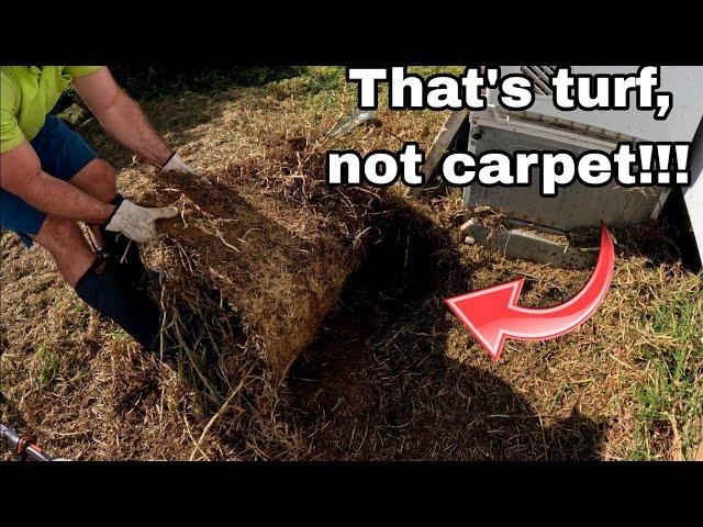 What the?! Epic turf peel to expose a hidden patio!