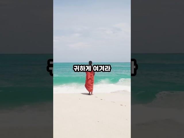 무엇이 소중한가? #부처님 #진리 #인생 #부처님말씀 #진리의말씀