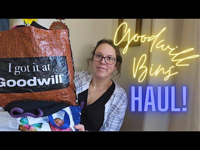 This Entire Haul Is Profit! Goodwill Bins Finds To Resell Online On eBay, Poshmark, Mercari & Depop