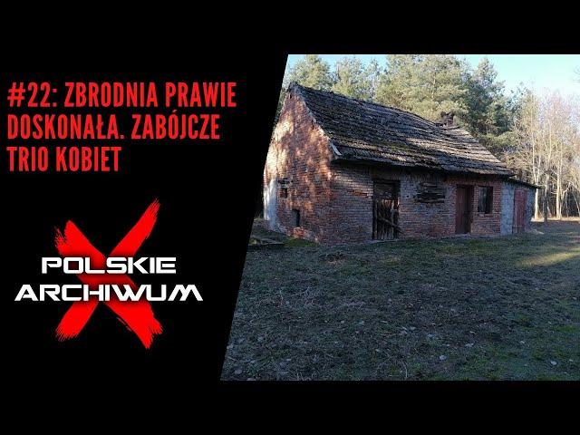 Polskie Archiwum X #22: Zbrodnia prawie doskonała. Zabójcze trio kobiet