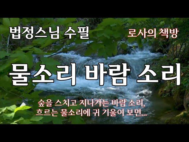 [법정 스님/물소리 바람소리/숲속의 이야기]숲을 스치고 지나가는 바람 소리, 흐르는 물소리에 귀 기울여 보면.../로사의 책방