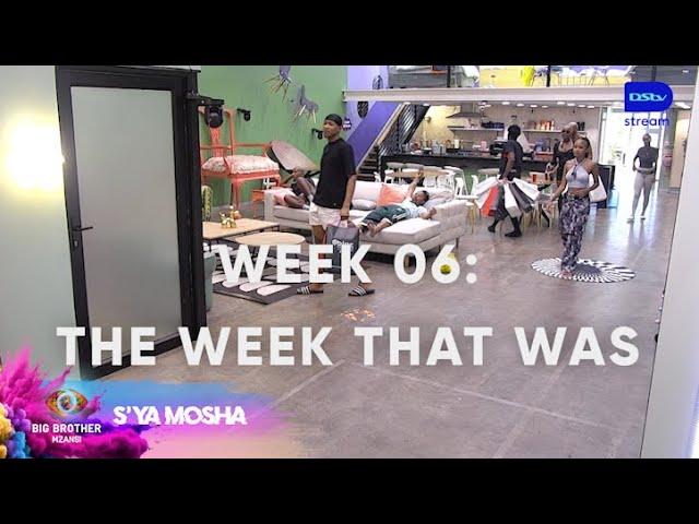 A week in the wild – BBMzansi | S4 | Mzansi Magic