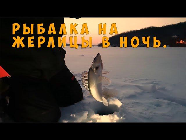 Рыбалка на жерлицы в ночь. (Попытка №2). Первый и единственный судак.