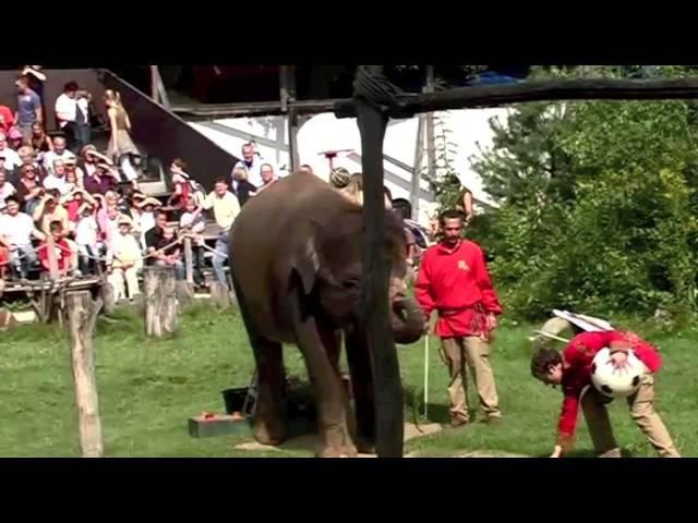 3. 2007 Elefanten-Show Erlebnis-Zoo Hannover.