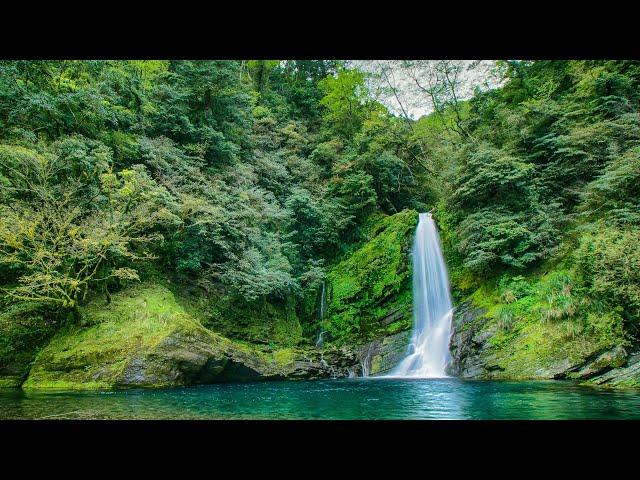 無廣告版  流水音樂  水聲音樂, 睡眠轻音乐, 白噪音, 睡眠音樂   輕柔鋼琴和大自然流水聲&鳥鳴聲  讀書 & 專心 & 紓壓