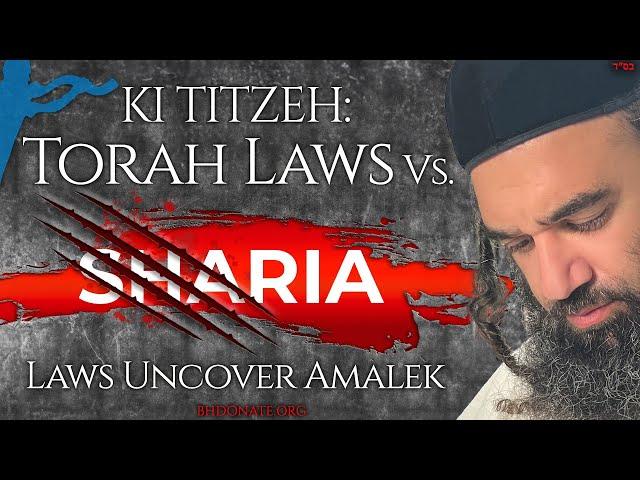 KI TITZEH: Torah Laws Vs. Sharia Laws Uncover Amalek - STUMP THE RABBI (216)