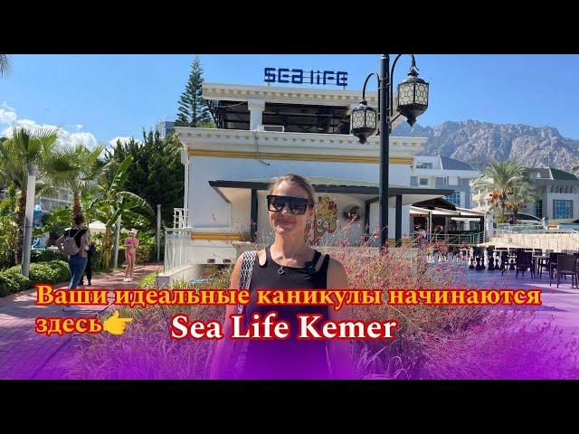  Мы подготовили для вас полный видео обзор отеля Sea Life Kemer в Турции! 