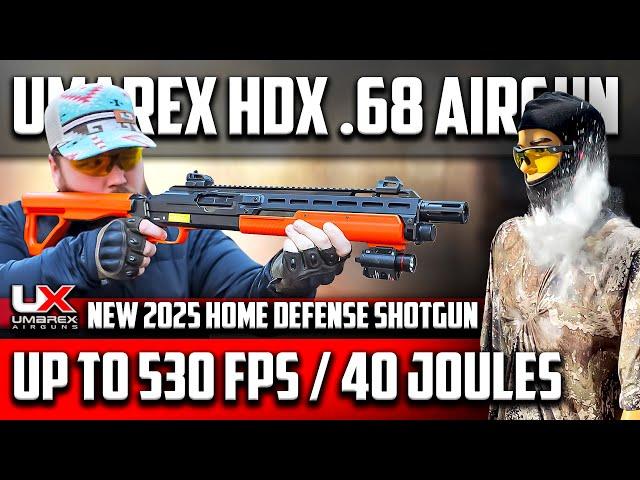 Umarex Shotgun HDX 68: How Destructive is the NEW 2025 40 Joules Home Defense Non-Lethal Weapon?