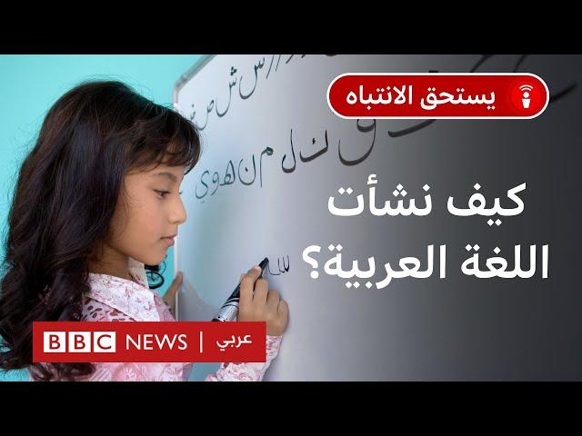 ما أصل اللغة العربية؟ وهل هي لغة مشتقة من غيرها؟