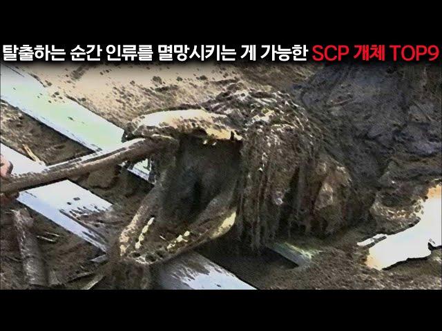 SCP가 뭐야?