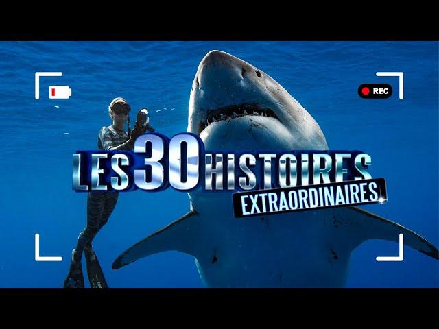 Les 30 histoires les plus extraordinaires - Emission spéciale histoires sensationnelles | PE01-2017