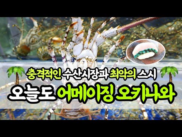 쇼킹한 수산물로 가득찬 수산시장과 ‘일본 최악’이라는 오키나와 스시 리뷰!5끼 in오키나와 (Ep02_마키시공설시장)