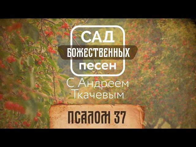 Сад божественных песен — Псалом 37 – отец Андрей Ткачёв