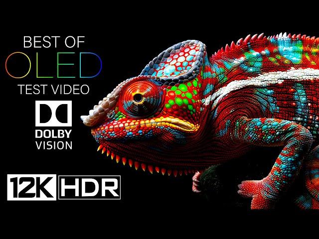 12K HDR 240fps DOLBY VISION OLED Test Video (2024)