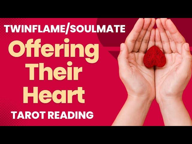 An Offering ️ TwinFlame Soulmate Tarot Reading