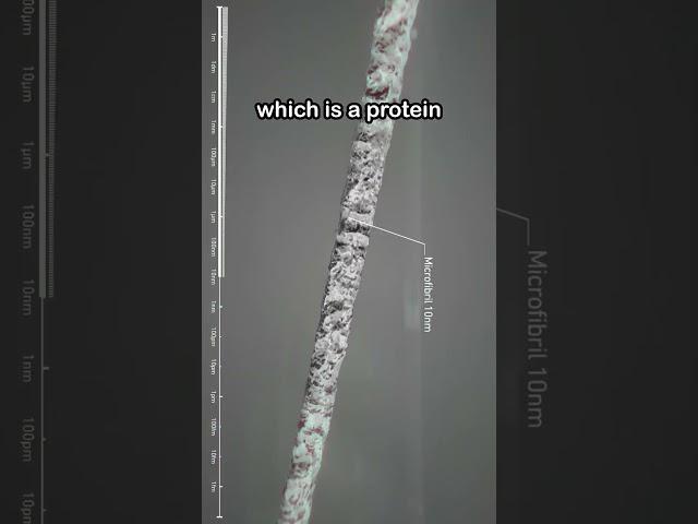 The Scale of an Atom
