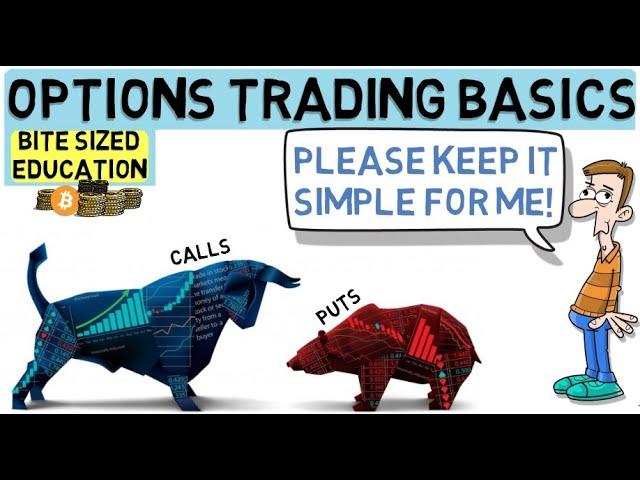 Options Trading For Beginners - The Basics