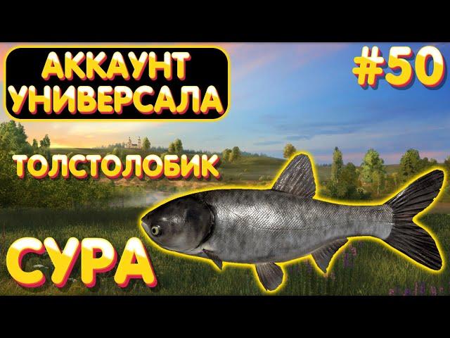 Аккаунт универсала #50 | Толстолобик и Сазан | р. Сура | Русская Рыбалка 4