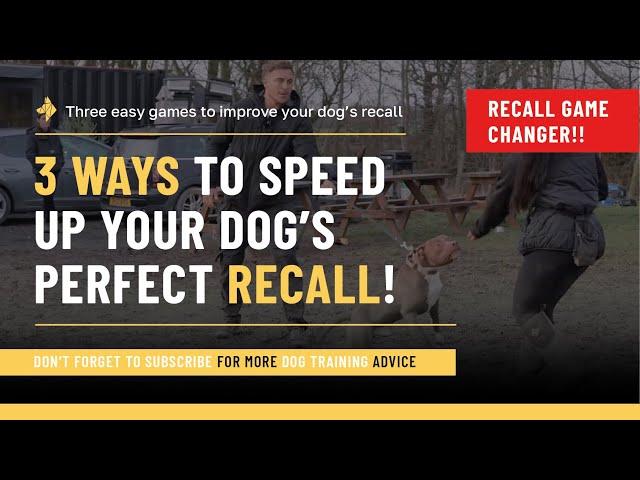 3 ways to speed up your dog’s recall!!!