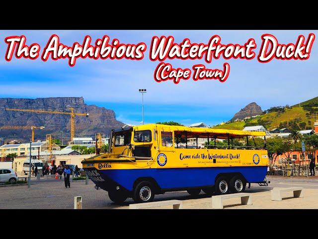 The Waterfront Duck, Cape Town! S1 – Ep 535