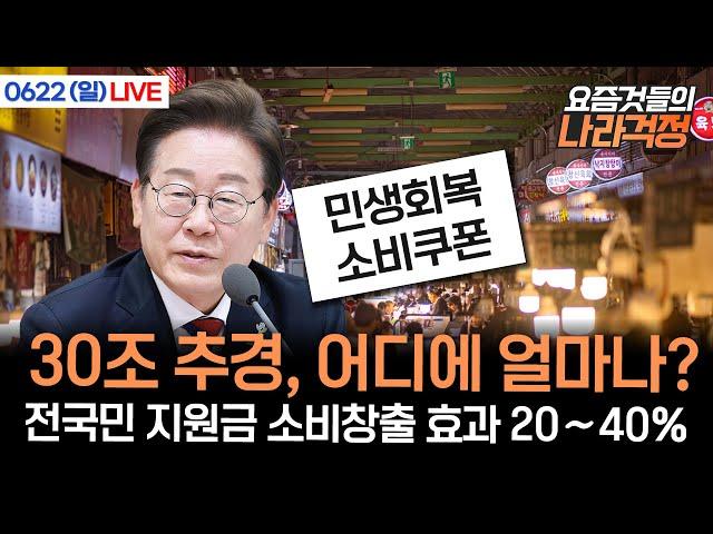 30조 추경, 어디에 얼마나? 전국민 지원금 소비 창출 효과 20~40% (봉한나, 안도영, 장종화) #요즘것들의 나라걱정 (0622_일)