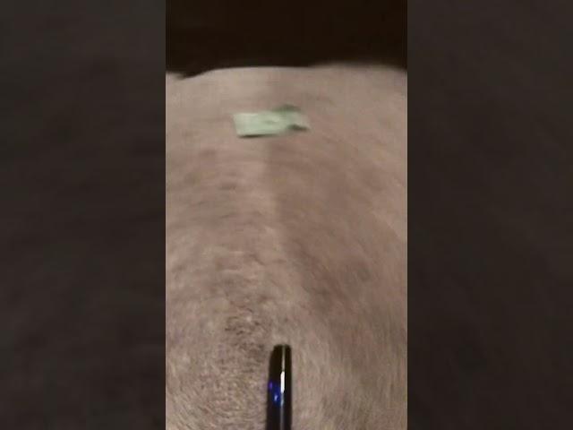 Loop#perfectloop