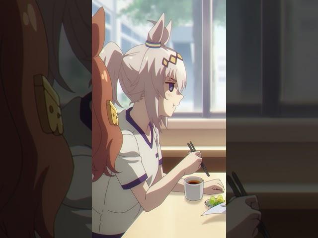 《Umamusume: Cinderella Gray》Episode 3: Cinderella Moments ②#umamusume  #cinderellagray