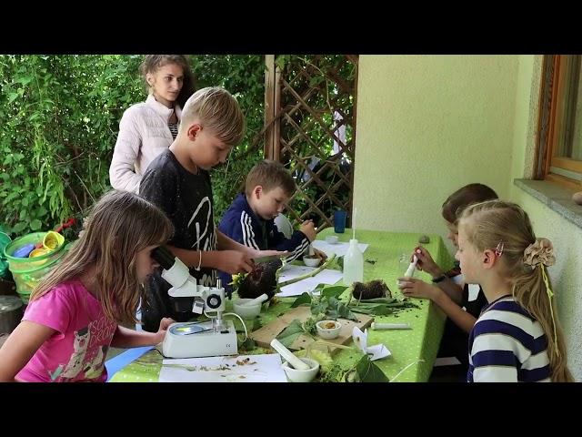 Forsche mit uns! Ferienprojekt "Sonnenblumen"