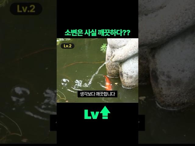 소변은 생각보다 깨끗하다? #상식 #소변 #위생 #멸균 #신장