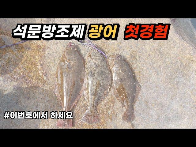 석문방조제 광어낚시 밑걸림 적고 초보자도 잡을수 있는곳