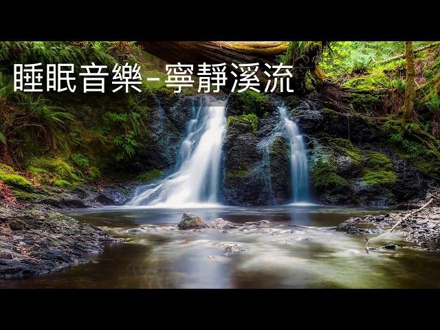 正念減壓 睡眠音樂 | 寧靜溪流 | 流水聲 孩子睡前最愛的音樂