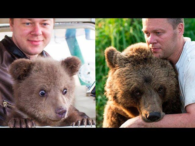 История искренней дружбы человека и медведя  Андрей и Мансур.