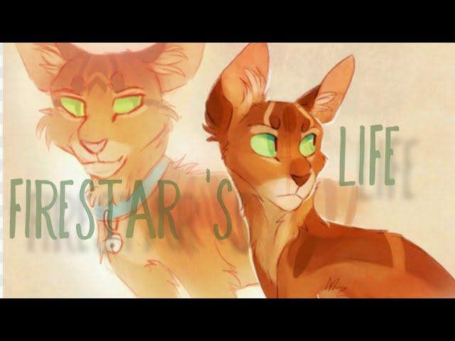 Firestar 's Life - Warriors - In the name of love