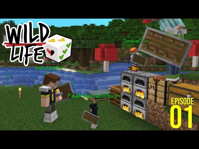 Drama on Day One?! | Wild Life Episode 01