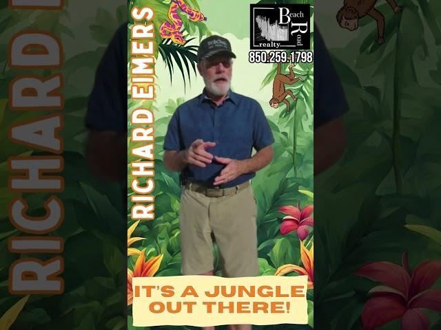 It's A Jungle Out There #realestate #destinrealestate #homebuyers