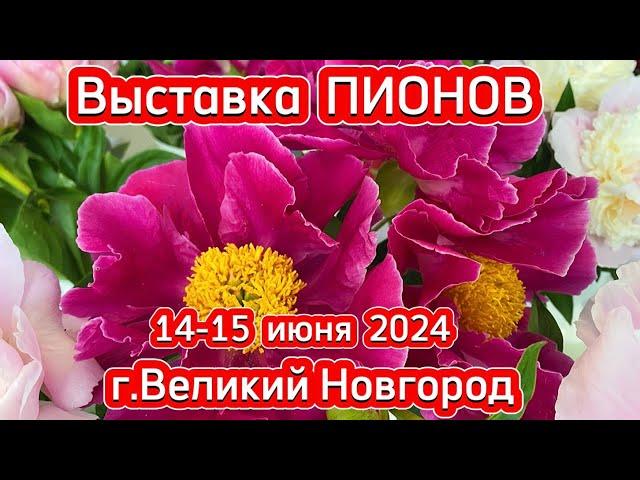 Выставка ПИОНОВ в В.Новгороде 14 июня 2024
