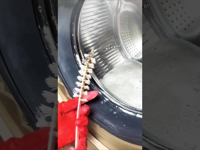 فرشاة حوض الغسالة