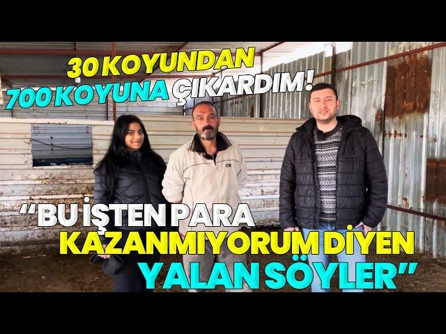 GÜNDE 300 LİTRE SÜT SAĞIYOR! / "30 Koyundan 700 Koyuna Çıkardım!"