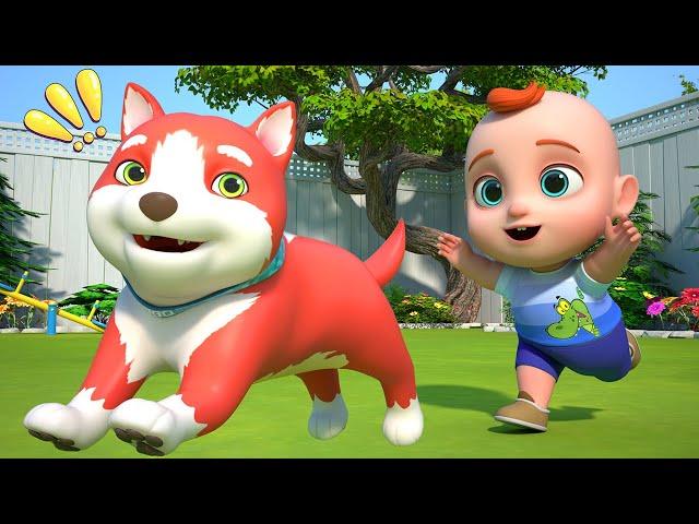 BINGO | Nursery Rhymes | Baby Song | GoBooBoo Baby Songs