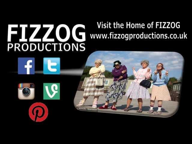 FIZZOG SHOWREEL (A sample of Fizzog)