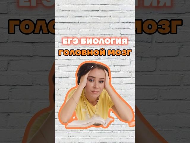 мозг #умскул #жаннаказанская #биология #биологияегэ
