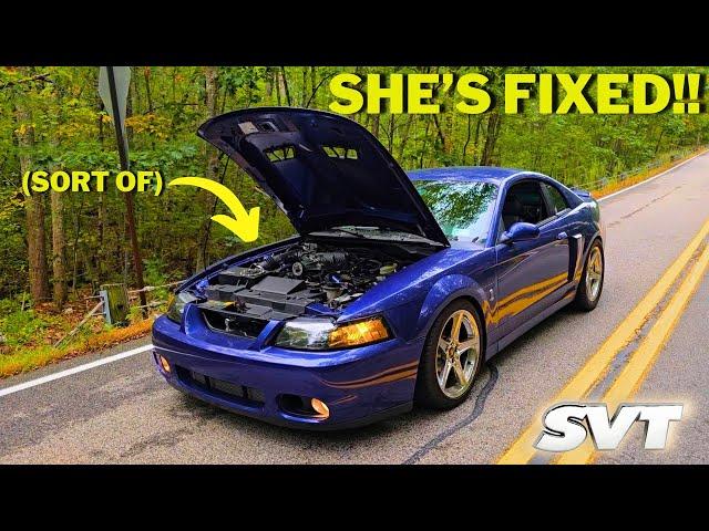 My Cobra is FIXED, And It Wasn't What We Thought! SHE'S BACK!!