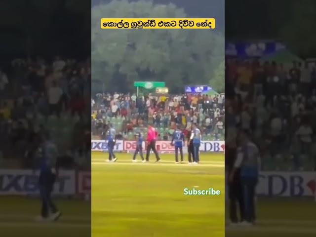 Sri lanka cricket fan celebrates entire ground with joy after win #cricket #slvswi #shorts