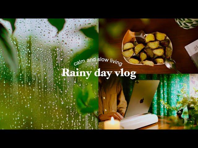 cozy rainy day vlog | cooking, calm & slow life, silent vlog, Living Alone in korea