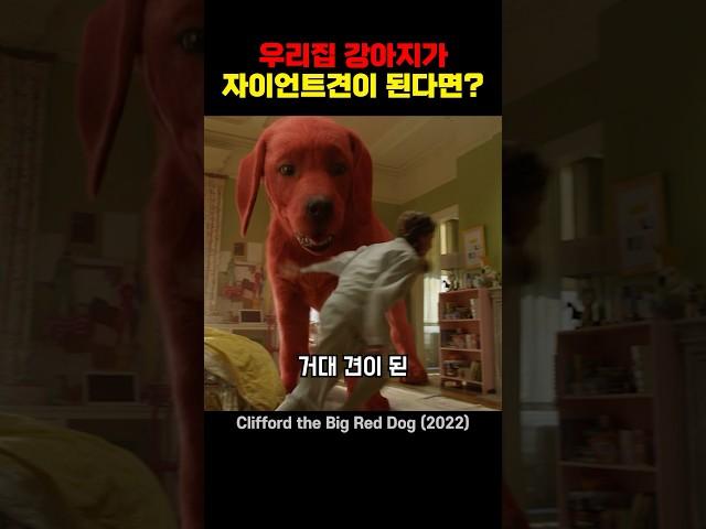 우리집 강아지가 자이언트견이 된다면