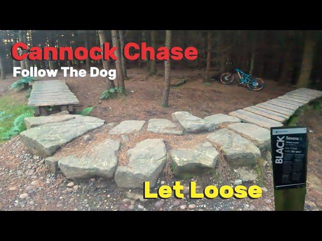 Cannock Chase MTB. Follow the Dog Black Sections