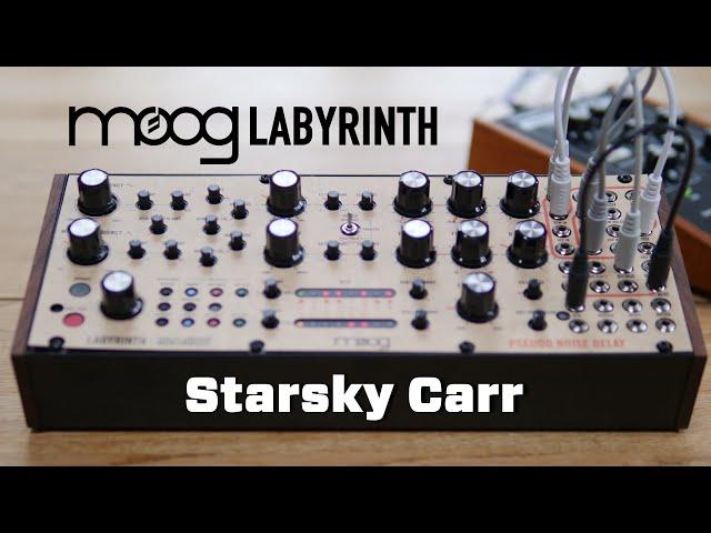 Moog Labyrinth // 3 Minute Manual + Full Review & Demo