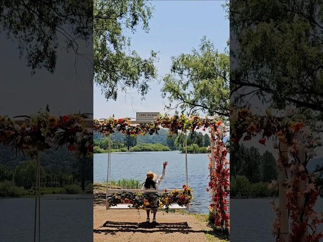  자라섬 꽃 페스타: 5월 피크닉 명소 숨겨진 볼거리!Jaraseom Flower Festa: May Picnic Spot, Hidden Attractions!
