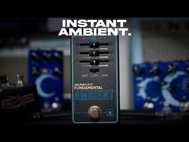 Walrus Audio Fundamental AMBIENT Reverb | A new standard in affordable ambient reverbs?