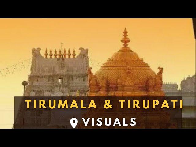 Tirumala and Tirupati visuals #ttd #tirupathi #tirupati #tirumala #ttdspecialstory #ttd_news #video